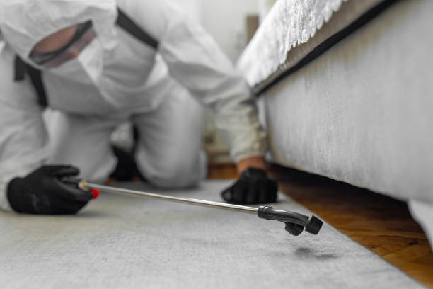Professional Cockroach Control technician working in Forest Hill, TX