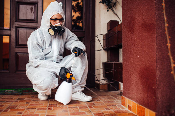 Reliable Cockroach Control contractor in Forest Hill, TX by Nex Pest Control